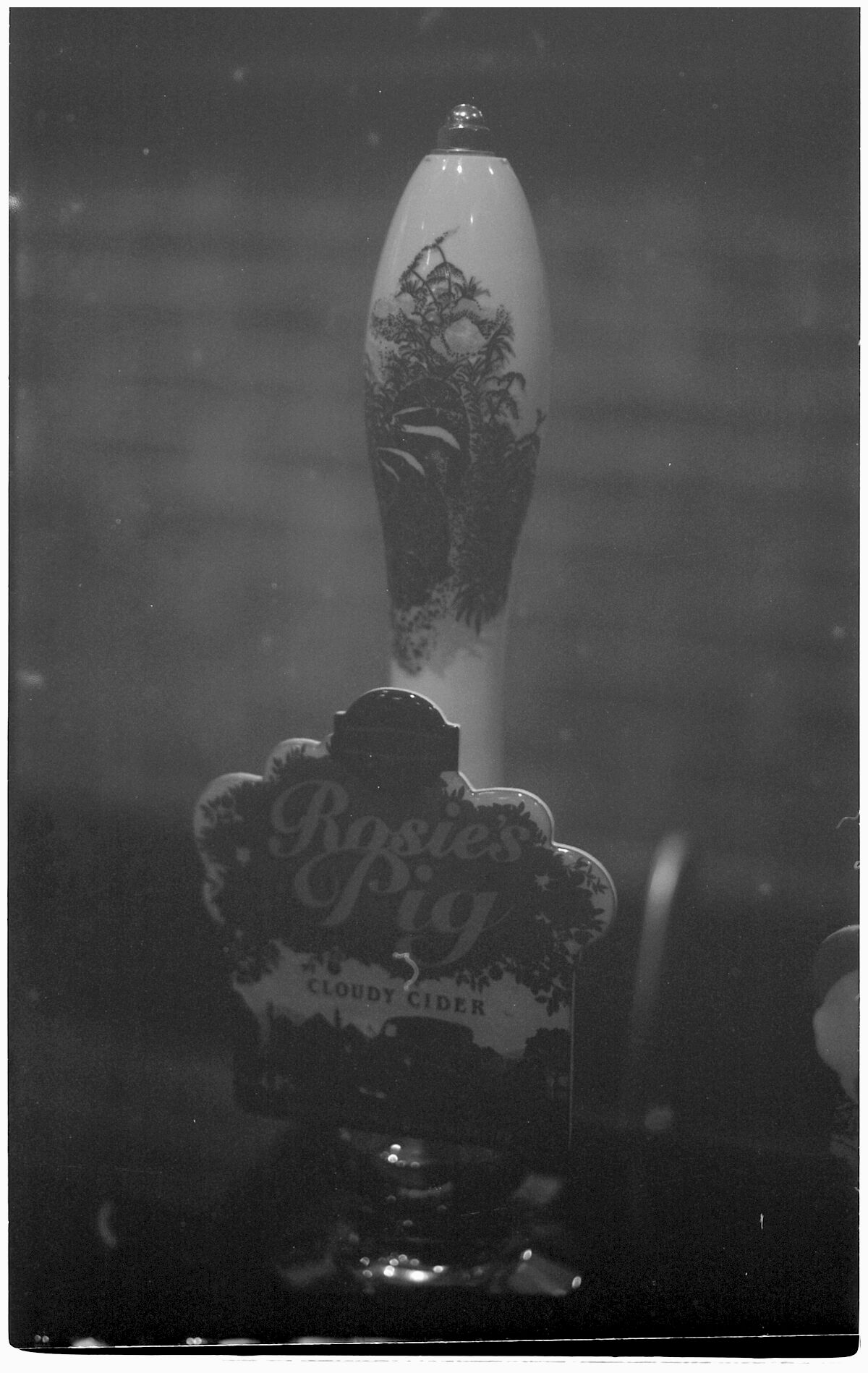 CIDER ON FILM